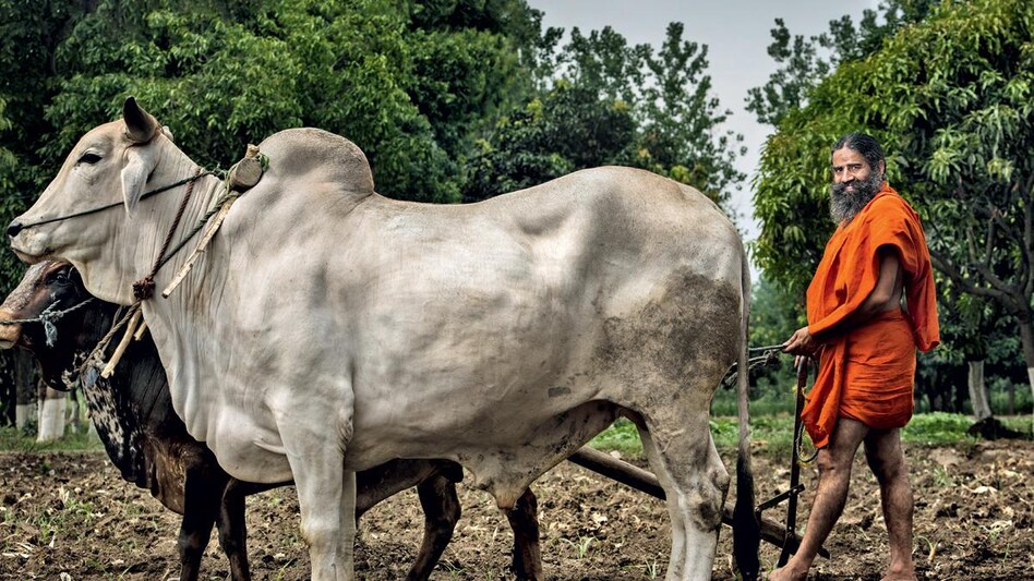 Photograph by Bandeep Singh Photograph by Bandeep Singh