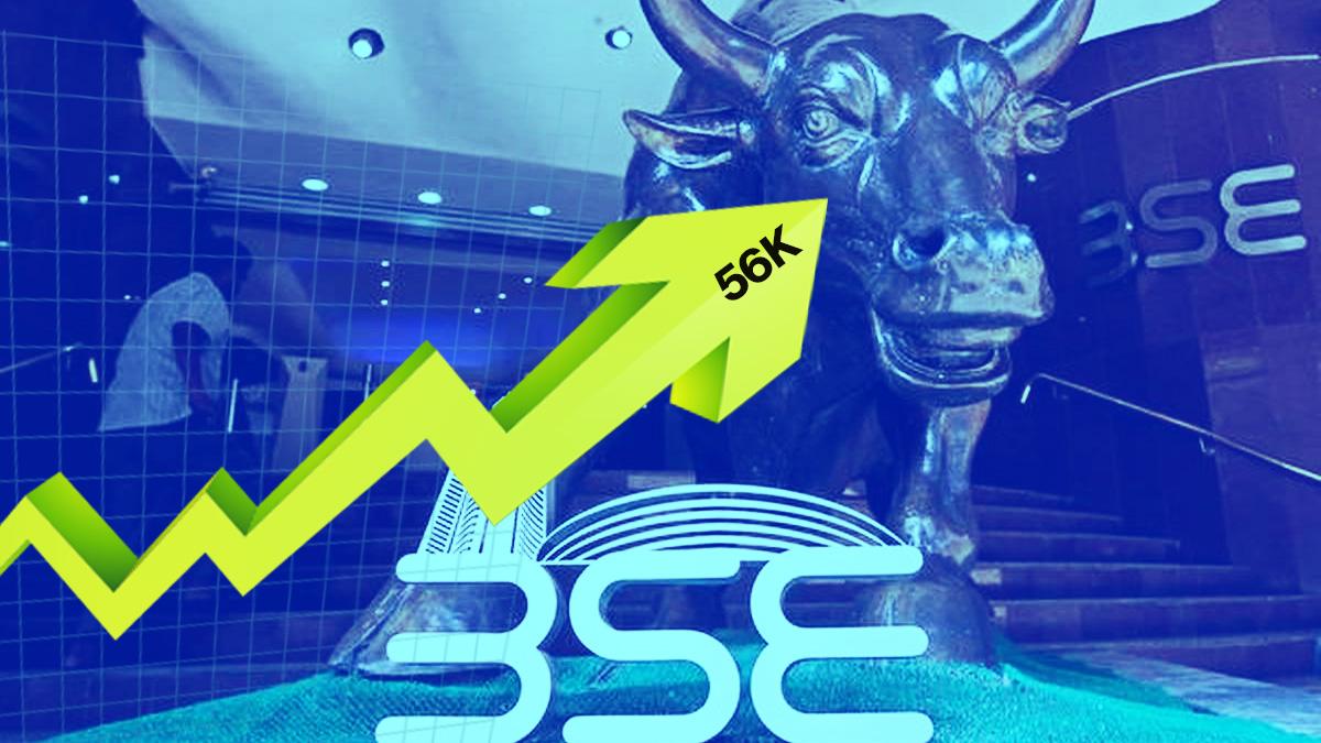 Sensex @ 56,000! These 5 stocks have given upto 321% return in 2021 Sensex @ 56,000! These 5 stocks have given upto 321% return in 2021