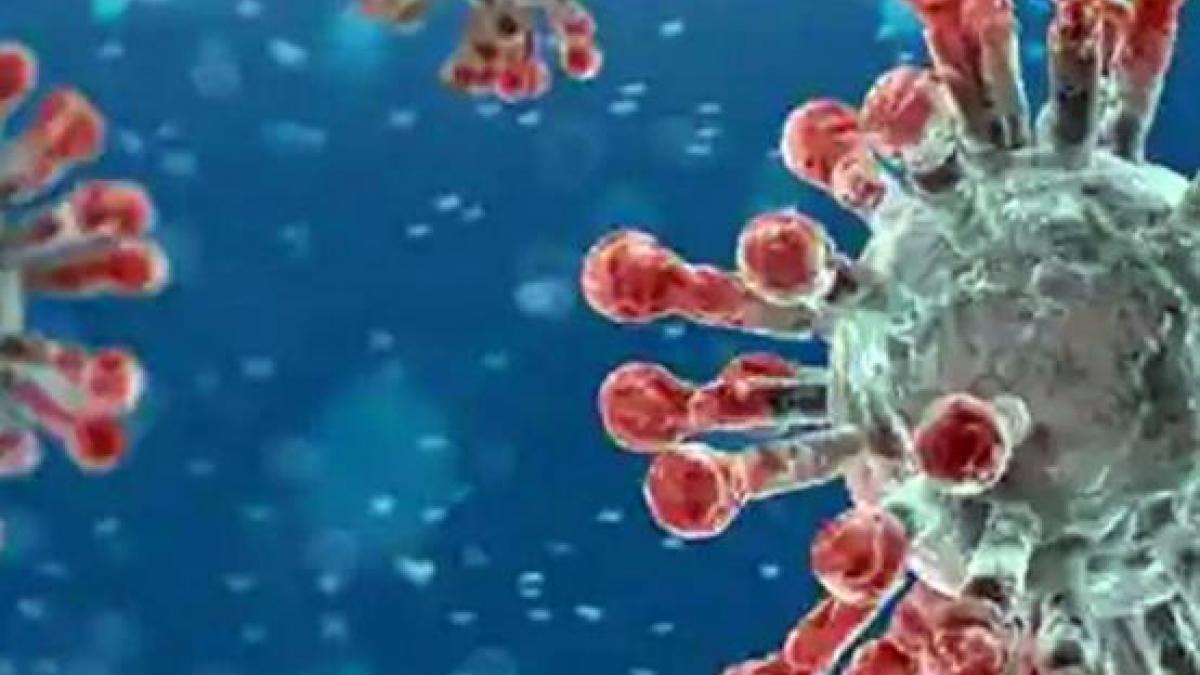 China calls US report on origins of COVID-19 'mendacious', says made for political purposes