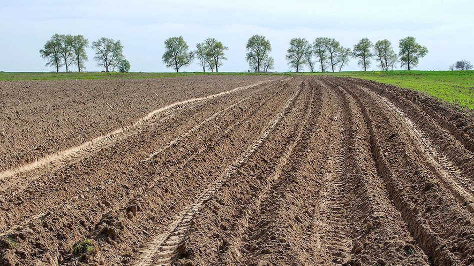 China's scarce land has been under increasing pressure as a result of rapid urbanisation and growing demands of its industrial and agricultural economy China's scarce land has been under increasing pressure as a result of rapid urbanisation and growing demands of its industrial and agricultural economy