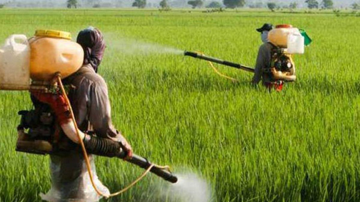 No proposal under consideration to waive loans of farmers: MoS Finance Bhagwat Karad