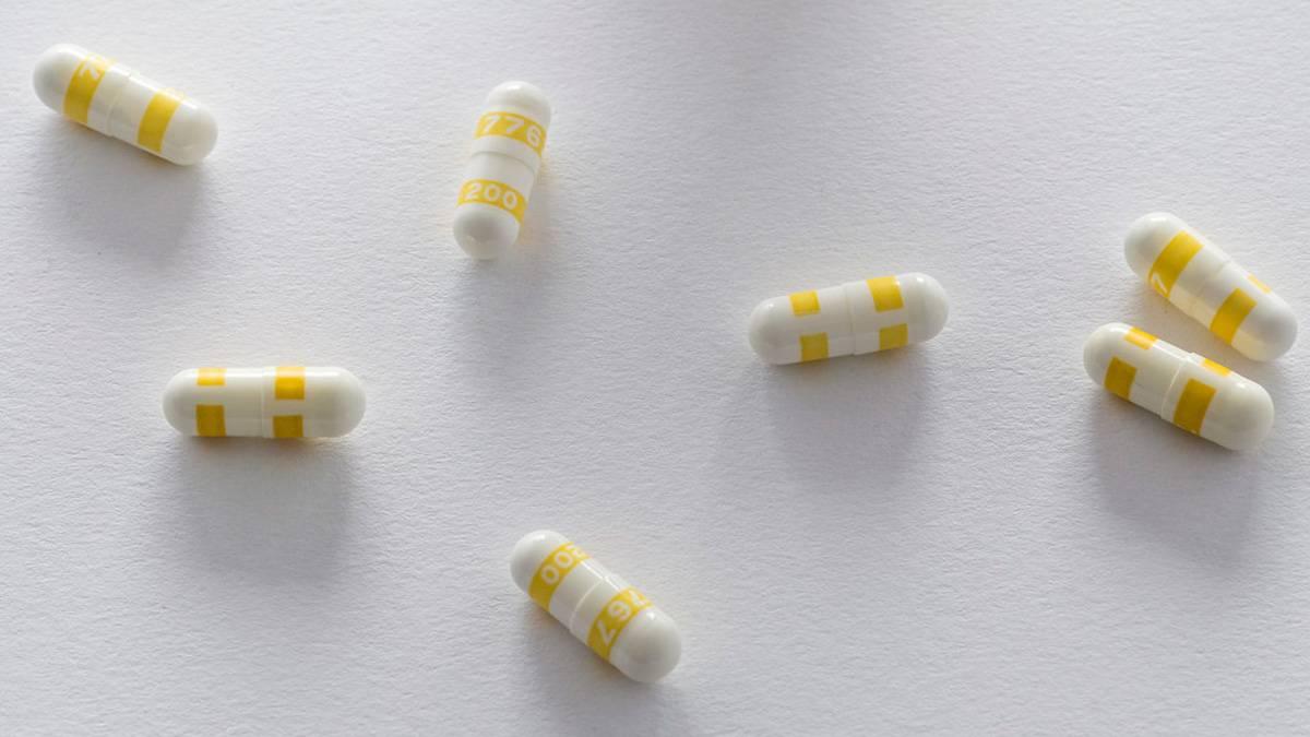 Divi's Labs Q1 results: Net profit jumps 13% to Rs 557 cr