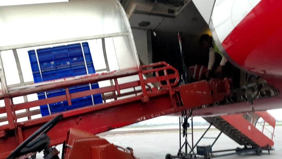 They were rescued by the Maharashtra Forest Department and the Turtle Survival Alliance They were rescued by the Maharashtra Forest Department and the Turtle Survival Alliance