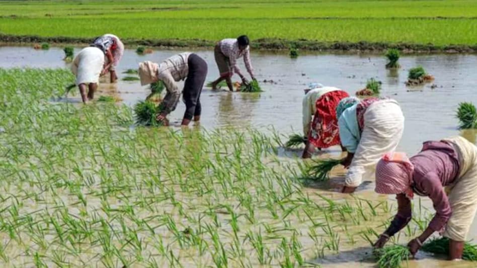 Paddy procurement has reached at all-time high level, surpassing previous high of 773.45 lakh tonnes in KMS 2019-20 Paddy procurement has reached at all-time high level, surpassing previous high of 773.45 lakh tonnes in KMS 2019-20