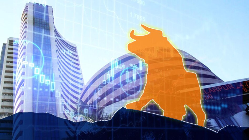 Multibagger alert! This largecap stock doubled shareholder's money in 2021; do you own it? Multibagger alert! This largecap stock doubled shareholder's money in 2021; do you own it?