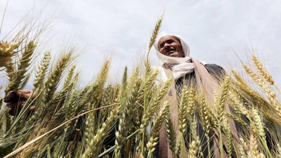 The NSO survey said the average monthly income per agricultural household during agricultural year 2018-19 was at Rs 10,218 The NSO survey said the average monthly income per agricultural household during agricultural year 2018-19 was at Rs 10,218