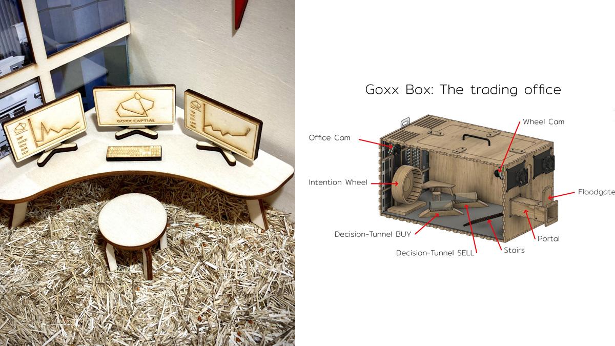 Its performance has been phenomenal as the livestreamed hamster's portfolio was up around 24 per cent as of Friday Its performance has been phenomenal as the livestreamed hamster's portfolio was up around 24 per cent as of Friday