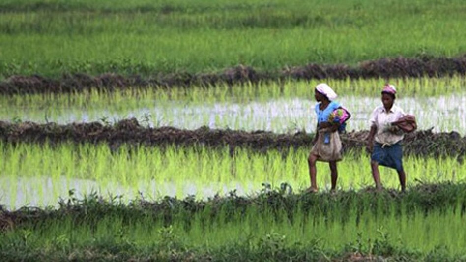 Sowing of kharif (summer) crops like paddy begins with the onset of the Southwest monsoon from June, while harvesting in most of the parts commences from October. Sowing of kharif (summer) crops like paddy begins with the onset of the Southwest monsoon from June, while harvesting in most of the parts commences from October.