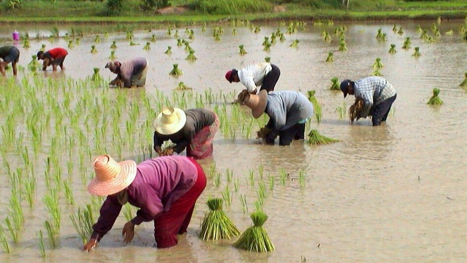 Govt assures ethanol blending plan will not affect India's food security Govt assures ethanol blending plan will not affect India's food security