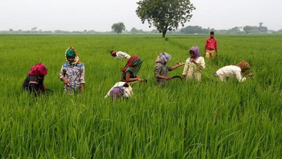Centre infuses Rs 131,000 cr to boost agriculture sector, says Minister Karandlaje Centre infuses Rs 131,000 cr to boost agriculture sector, says Minister Karandlaje