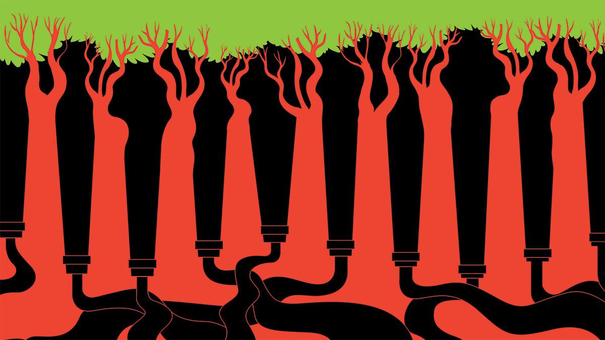 Illustration by Raj Verma Illustration by Raj Verma