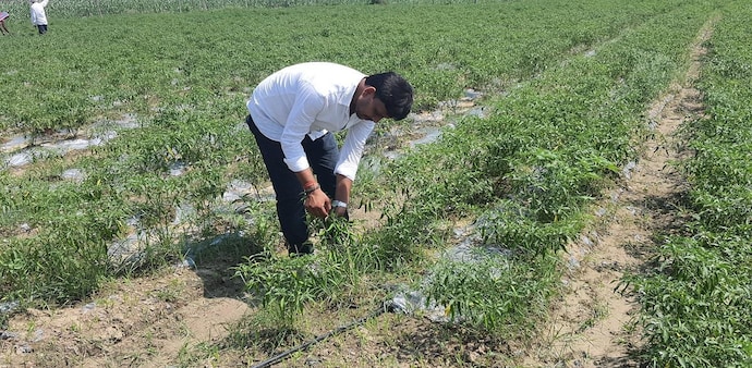 Agriculture accounts for over 15% of India's $2.7 trillion economy and employs almost half of the country's more than 1.3 billion people Agriculture accounts for over 15% of India's $2.7 trillion economy and employs almost half of the country's more than 1.3 billion people