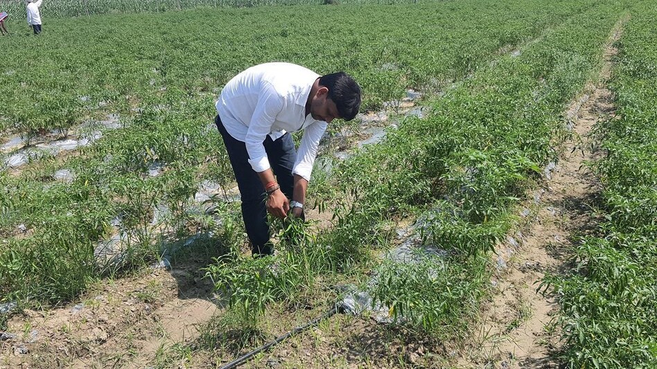 Agriculture accounts for over 15% of India's $2.7 trillion economy and employs almost half of the country's more than 1.3 billion people Agriculture accounts for over 15% of India's $2.7 trillion economy and employs almost half of the country's more than 1.3 billion people
