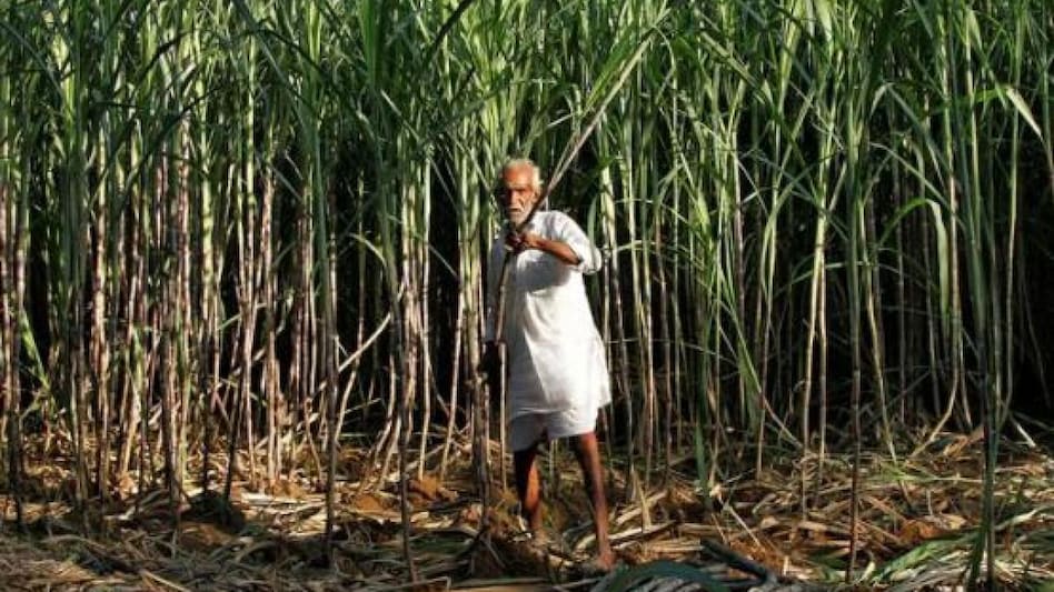 The Cabinet has approved a mechanism for procurement of ethanol by public sector oil marketing companies under the government's Ethanol Blended Petrol Programme. The Cabinet has approved a mechanism for procurement of ethanol by public sector oil marketing companies under the government's Ethanol Blended Petrol Programme.