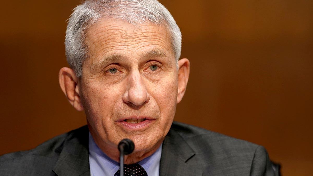 Fauci tells Biden it will take about two weeks to study Omicron variant (Photo: Reuters) Fauci tells Biden it will take about two weeks to study Omicron variant (Photo: Reuters)