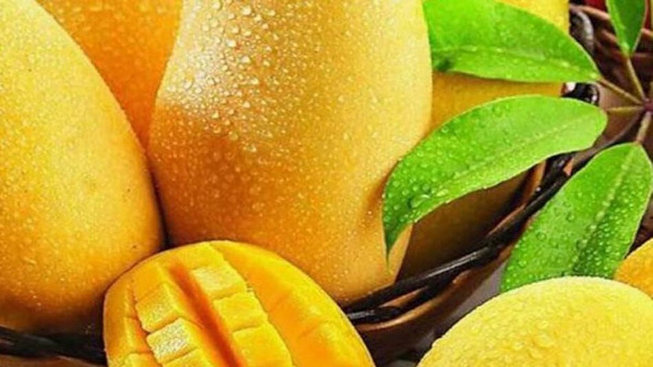 India, US to work on exporting mangoes, pomegranates from India India, US to work on exporting mangoes, pomegranates from India