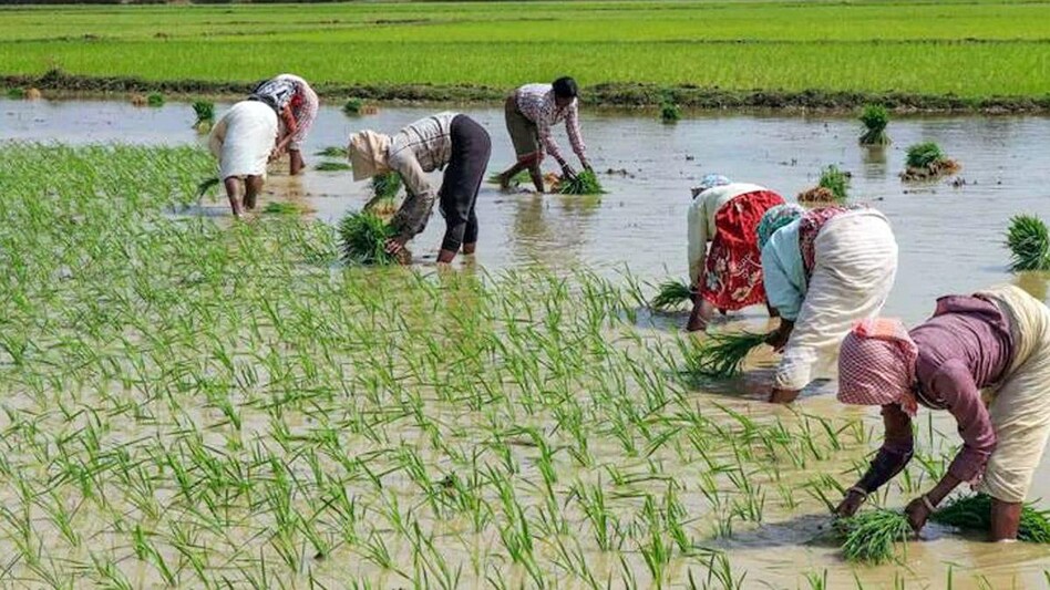 India imports a large quantity of urea, DAP and muriate of potash (MoP) to meet domestic demand. India imports a large quantity of urea, DAP and muriate of potash (MoP) to meet domestic demand.