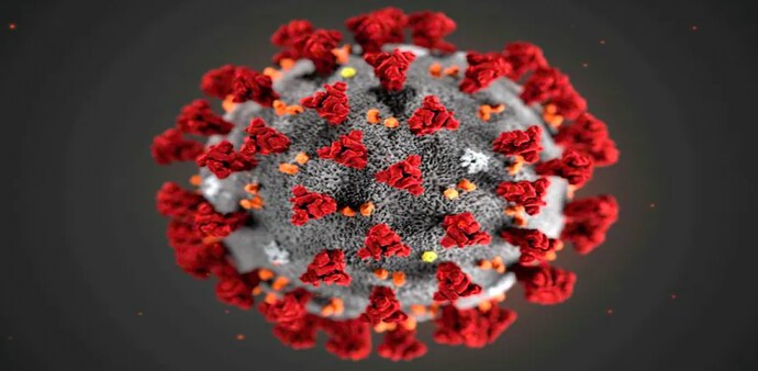 Covid-19 virus (representational image) Covid-19 virus (representational image)