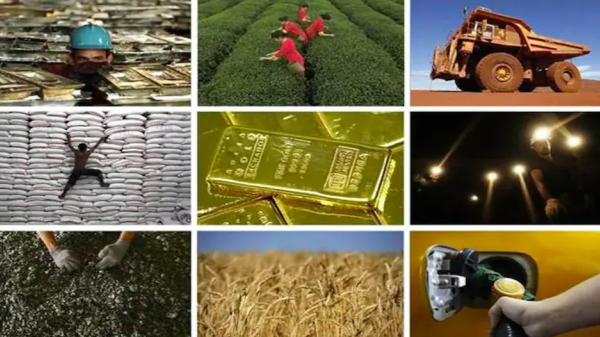 Govt's eight core sector data released today Govt's eight core sector data released today