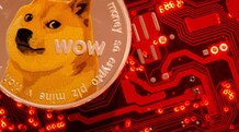 Meme coins like Dogecoin, Shiba Inu see massive fall in prices after govt proposes Cryptocurrency Bill 2021 As of November 2021, DOGE has risen 8,000 per cent since the start of the year. Photo: Reuters