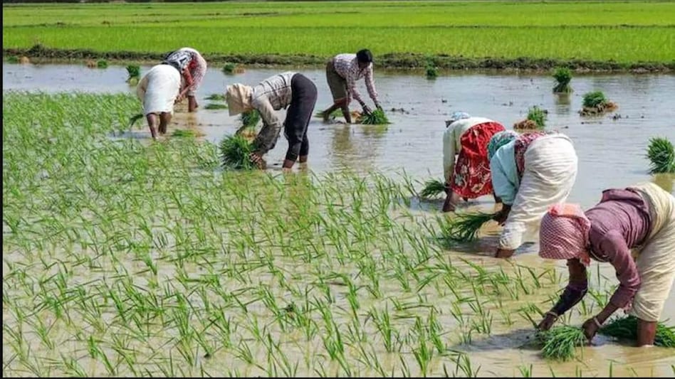 This scheme by the Modi government aims to benefit ~22 lakh farmers, including 2.5 lakh SC and 2 lakh ST farmers. This scheme by the Modi government aims to benefit ~22 lakh farmers, including 2.5 lakh SC and 2 lakh ST farmers.