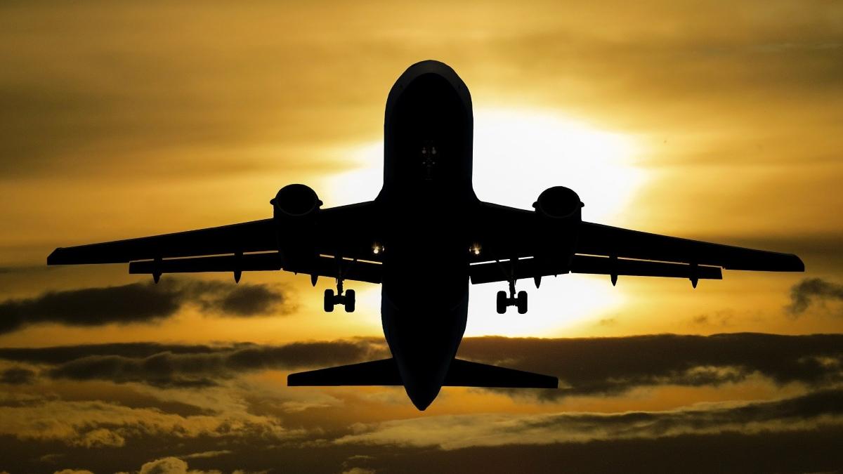 One in two Indians favour suspending all flights from countries with 20 or more Omicron cases: Survey - Vimarsana News