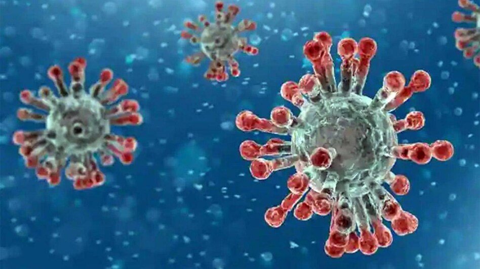 Cases of Omicron variant were earlier detected in Karnataka and Gujarat. Cases of Omicron variant were earlier detected in Karnataka and Gujarat.
