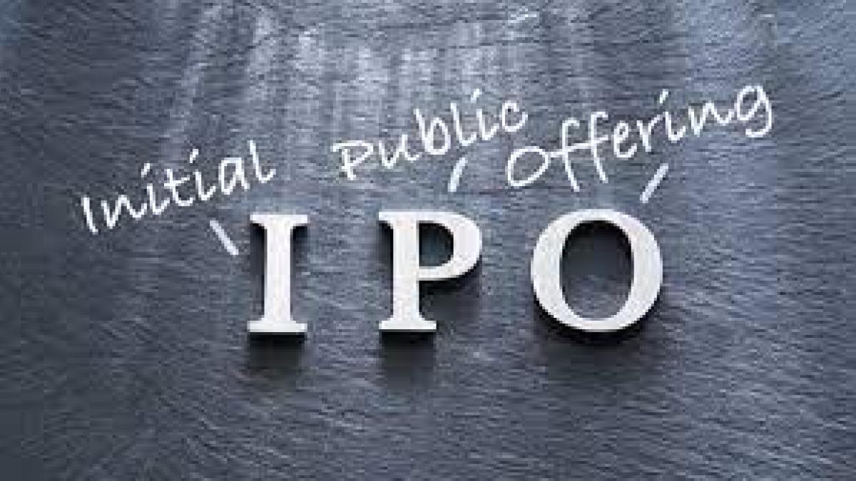 The biggest sectors driving IPO volumes were technology and healthcare The biggest sectors driving IPO volumes were technology and healthcare