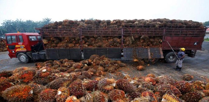 Refined palm oil customs duty cut Refined palm oil customs duty cut