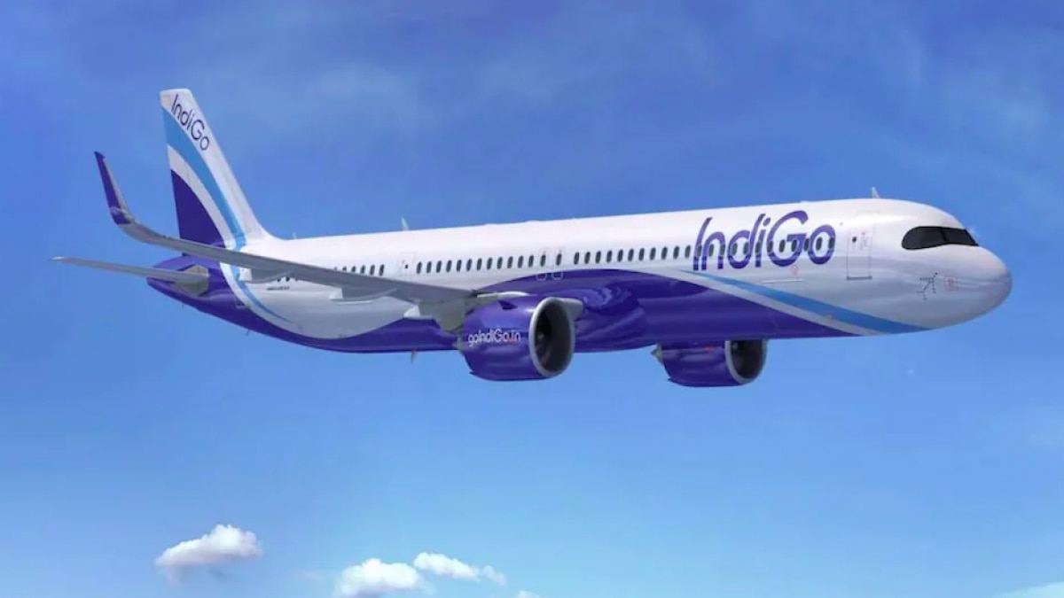 Bizarre! IndiGo loader falls asleep in cargo compartment, found safe on arrival