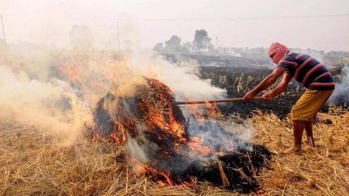 In winters, as the air is heavier with minimal speed of winds the adverse impact of smoke from the paddy crop residues travelling hundreds of kilometres from the fields of Punjab and Haryana, is more diabolical leading to a health emergency. In winters, as the air is heavier with minimal speed of winds the adverse impact of smoke from the paddy crop residues travelling hundreds of kilometres from the fields of Punjab and Haryana, is more diabolical leading to a health emergency.