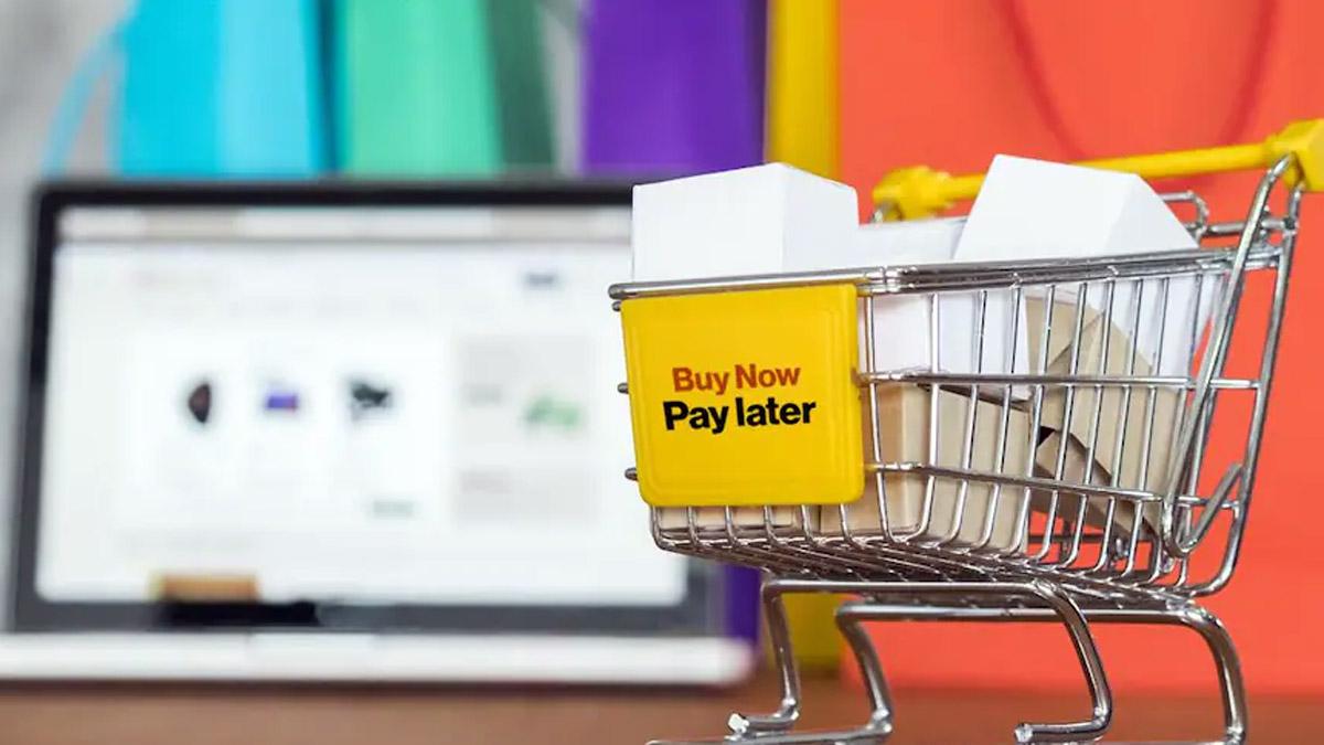 There are two types of digital BNPL players in the market -- payment finance and transaction finance. There are two types of digital BNPL players in the market -- payment finance and transaction finance.