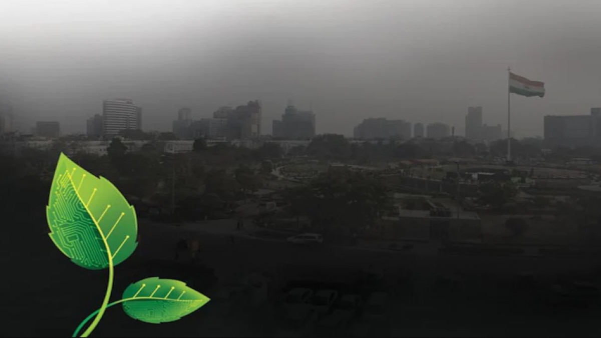 Nearly half of GDP in cities at risk from nature loss: WEF survey