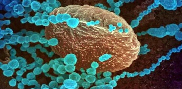 The strain has been detected in at least 54 countries and 24 US states. (Representative image) The strain has been detected in at least 54 countries and 24 US states. (Representative image)