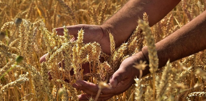 Agriculture continues to be a dominating employment generating sector and contributes a significant proportion to the country’s GDP. Agriculture continues to be a dominating employment generating sector and contributes a significant proportion to the country’s GDP.