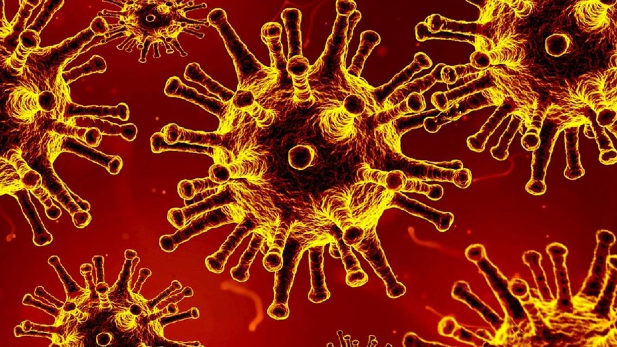 COVID-19 curbs extended till Feb-end as positivity rate remains above 10%: Govt