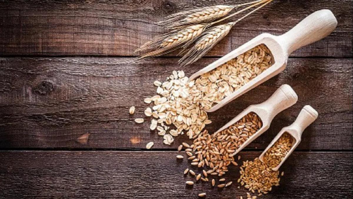 The UN General Assembly has declared 2023 as the 'International Year of Millets'. The UN General Assembly has declared 2023 as the 'International Year of Millets'.