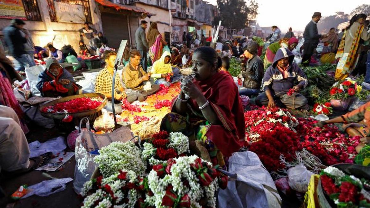 A rosy Valentine's Day for flower sellers as prices reach decade high