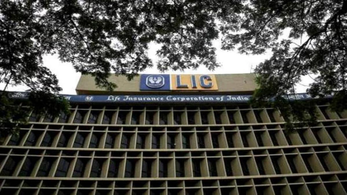 LIC didn't pay dividend to govt in FY21; used free reserves to raise paid-up capital LIC didn't pay dividend to govt in FY21; used free reserves to raise paid-up capital