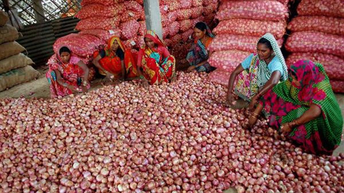 Surge in commodity prices may push CAD to 2.8% of GDP in Q3, says report