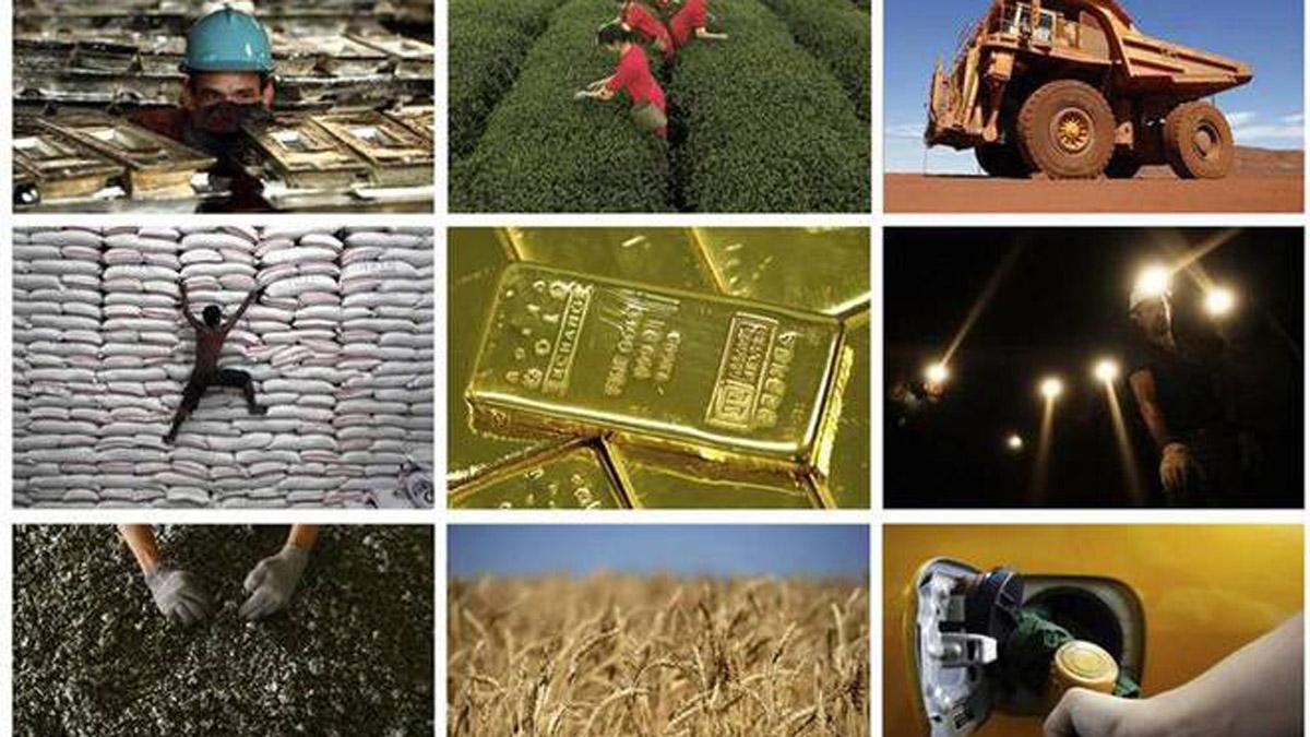Barring crude oil and fertilisers, all sectors recorded positive growth in February. Barring crude oil and fertilisers, all sectors recorded positive growth in February.
