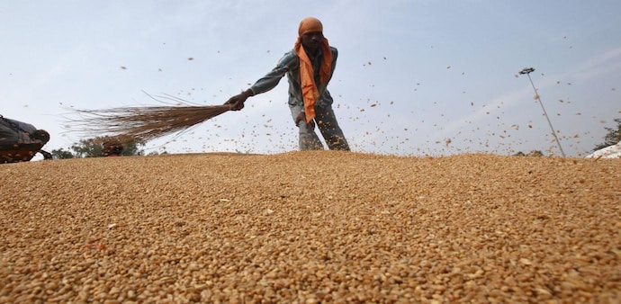 India set to export record 7 million tonnes wheat in 2022 (Photo: Reuters) India set to export record 7 million tonnes wheat in 2022 (Photo: Reuters)