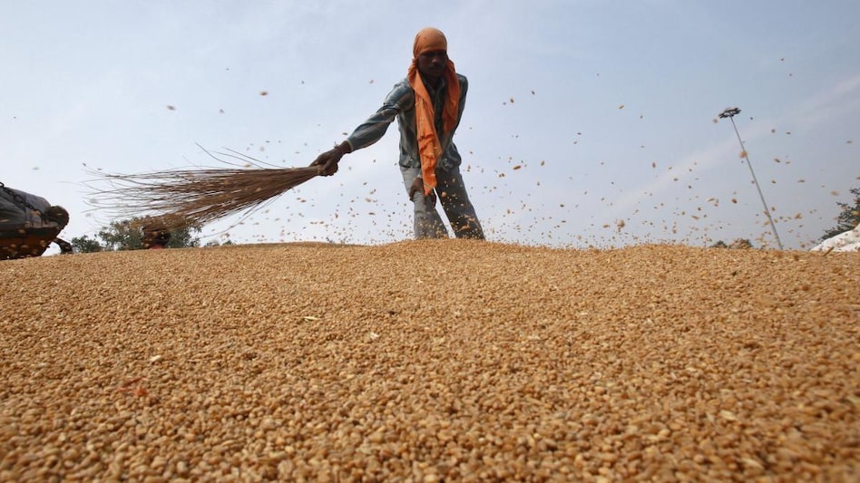 India set to export record 7 million tonnes wheat in 2022 (Photo: Reuters) India set to export record 7 million tonnes wheat in 2022 (Photo: Reuters)