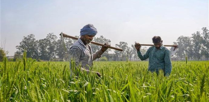 Farmers have also been offered the option of using the central government's offline KYC option. Farmers have also been offered the option of using the central government's offline KYC option.