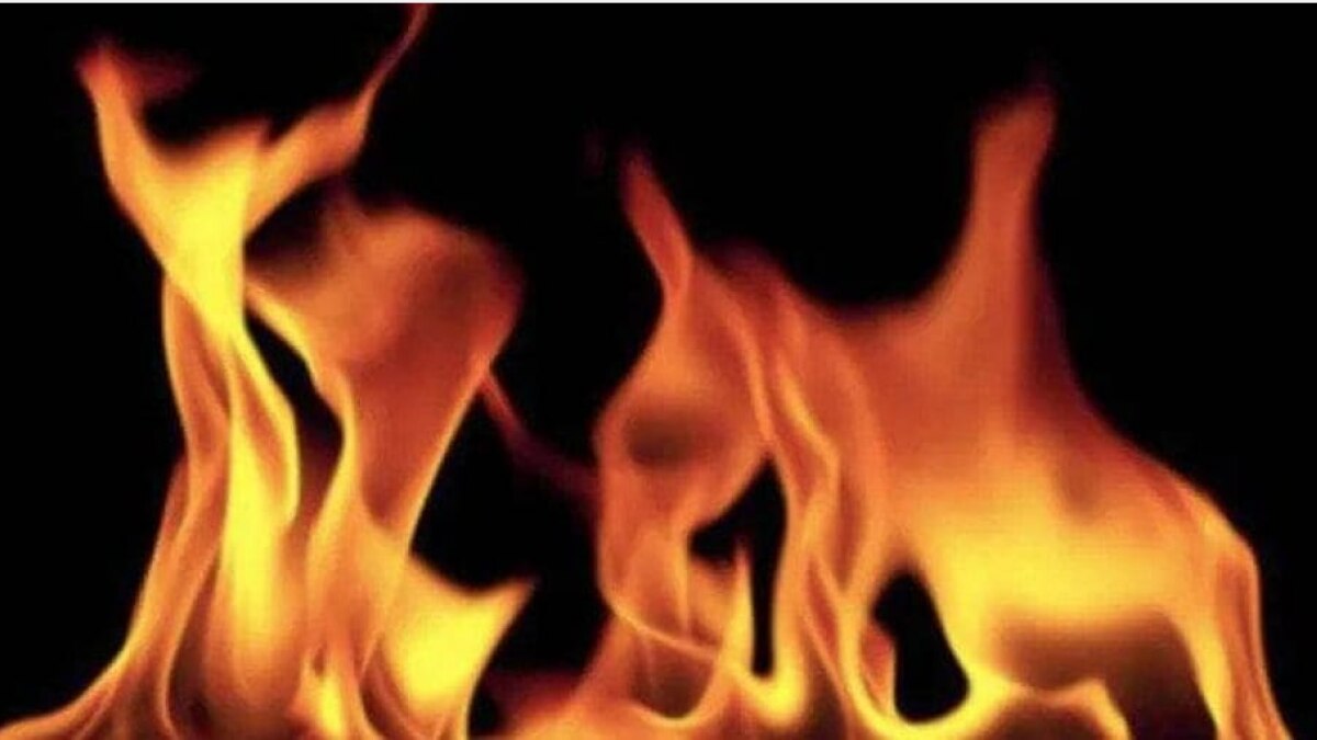 Rajasthan: Massive fire breaks out at Sariska Tiger Reserve