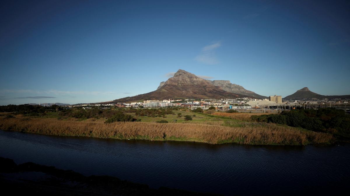 Contested land earmarked for a development which includes a new Africa headquarters for Amazon is seen alongside the Black River in Cape Town, South Africa, June 2, 2021 (Photo: Reuters) Contested land earmarked for a development which includes a new Africa headquarters for Amazon is seen alongside the Black River in Cape Town, South Africa, June 2, 2021 (Photo: Reuters)
