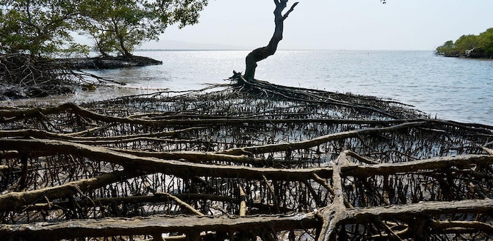 It is a part of Apple’s work to support communities around the world most impacted by climate change. It is a part of Apple’s work to support communities around the world most impacted by climate change.