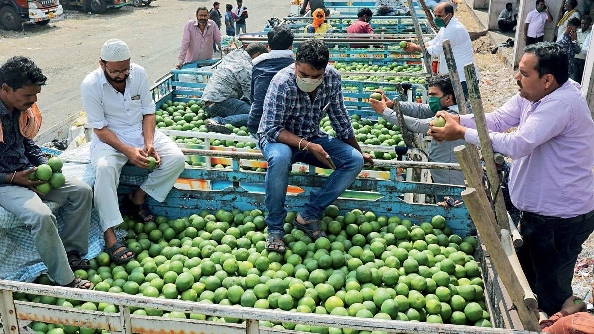 COVID-19 resulted in increased demand for staples, providing an opportunity for increasing agriculture exports. COVID-19 resulted in increased demand for staples, providing an opportunity for increasing agriculture exports.