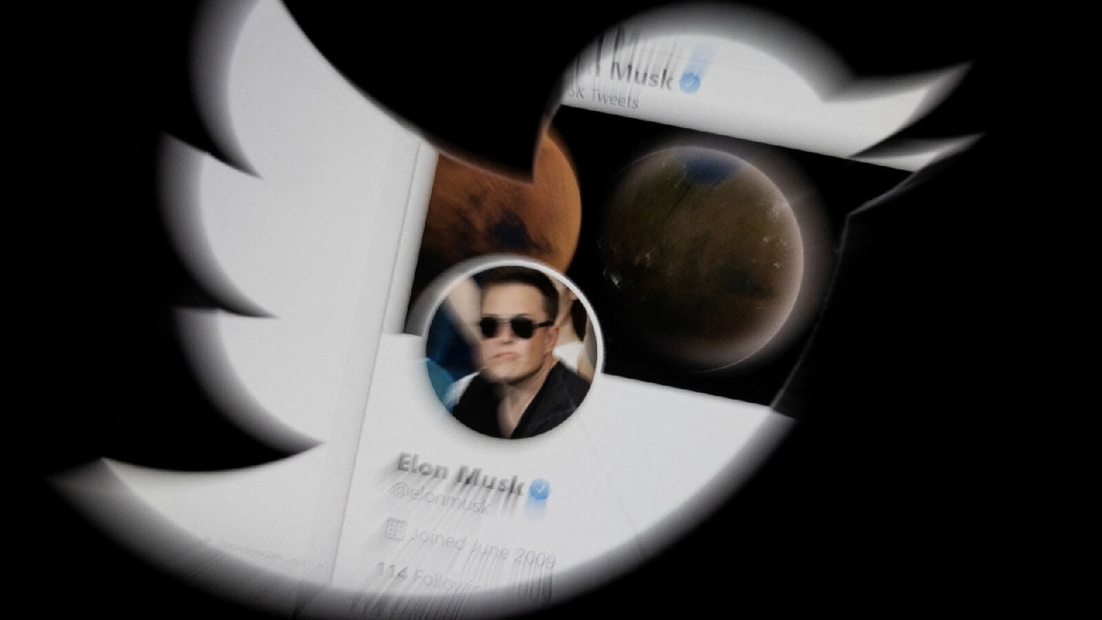 What will Elon Musk do with Twitter? Blue ticks for all, open source algorithms and purging of bots