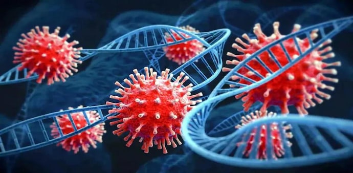 The new mutant XE was first detected in the United Kingdom n (UK) on January 19. (Representative Image) The new mutant XE was first detected in the United Kingdom n (UK) on January 19. (Representative Image)